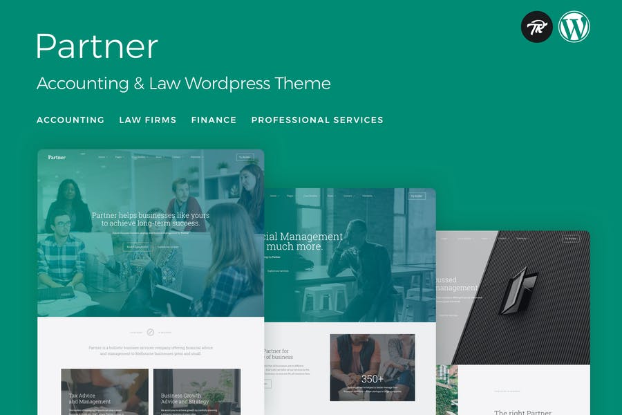 181942354-1.jpg Partner - Accounting and Law WordPress Theme - Görsel 1