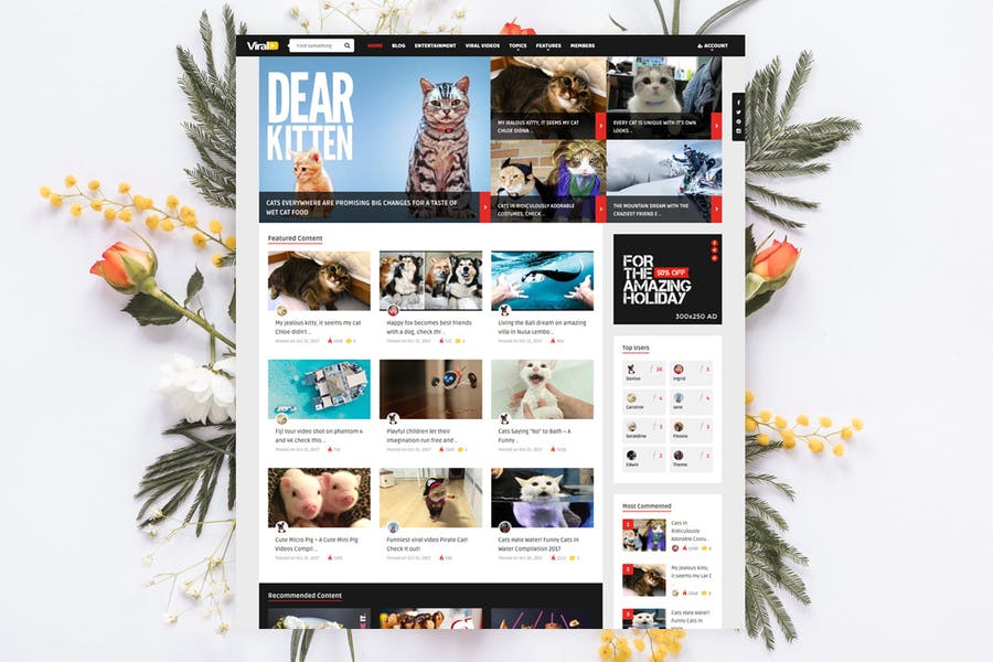 318160451-1.jpg ViralVideo - User Membership News / Magazine Theme - Görsel 1