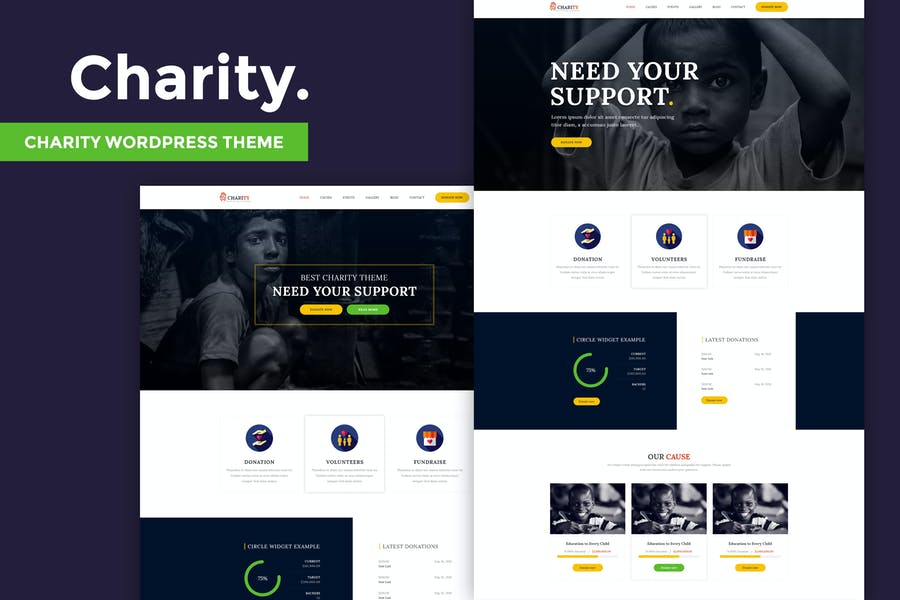 427375045-1.jpg Charity - Nonprofit WordPress Theme - Görsel 1