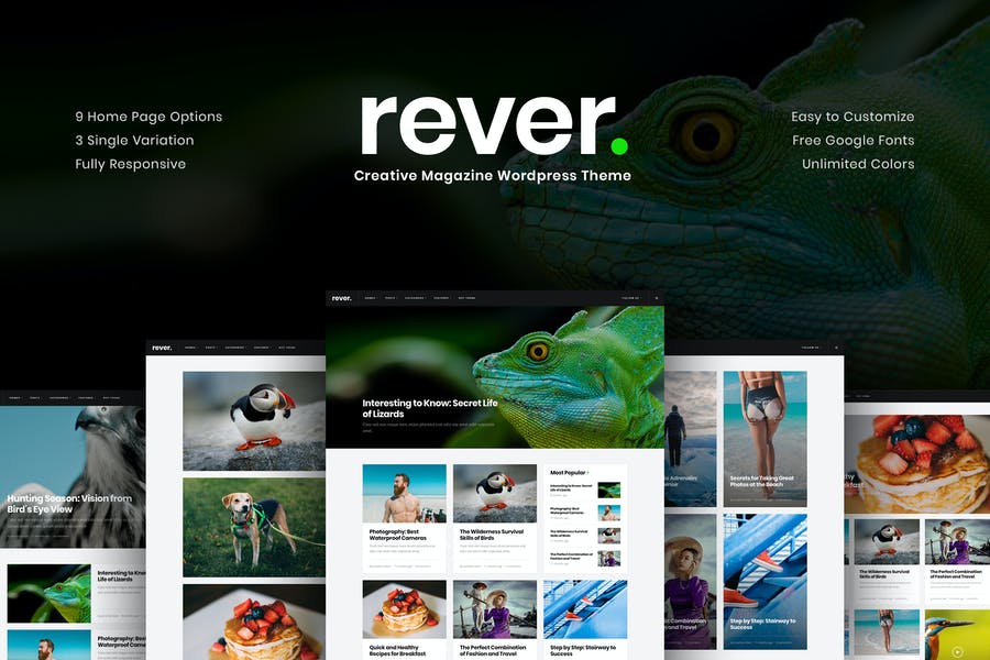 510226743-1.jpg Rever - Clean and Simple WordPress Theme - Görsel 1
