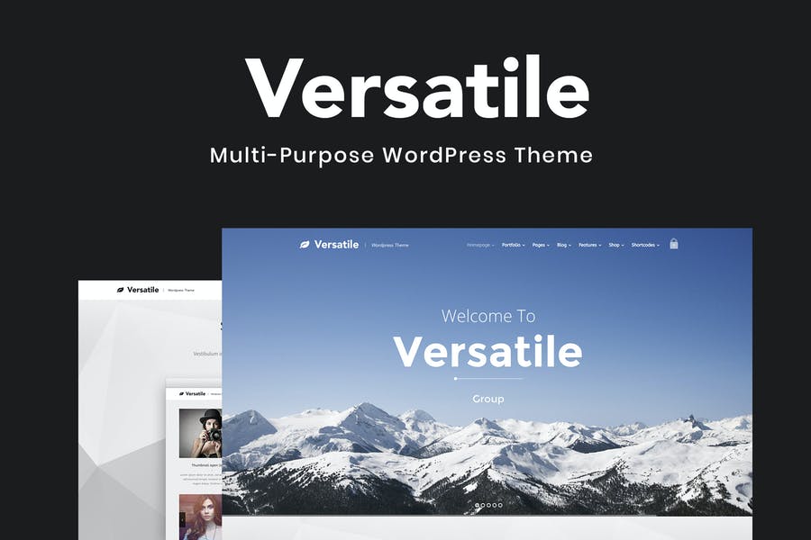 512955300-1.jpg Versatile - Multi-purpose WordPress Theme - Görsel 1