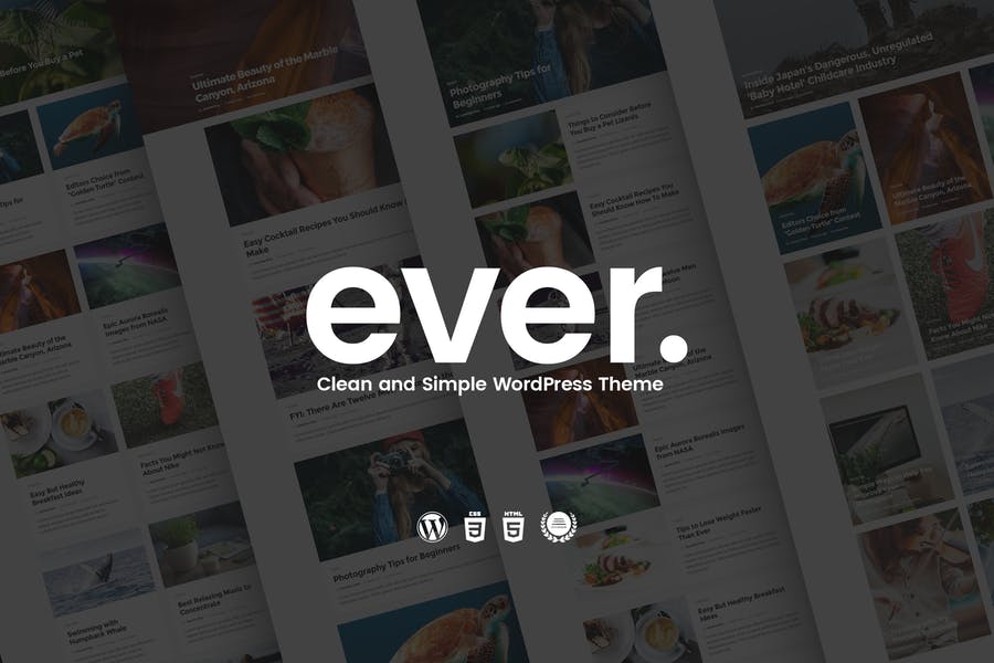 537992813-1.jpg Ever - Clean and Simple WordPress Theme - Görsel 1