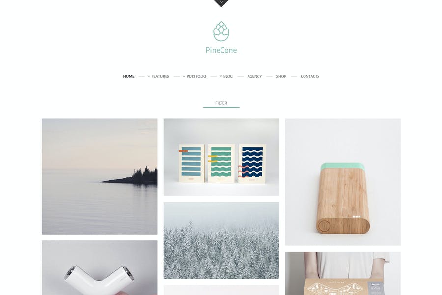 652570287-1.jpg PineCone - Creative Portfolio and Blog for Agency - Görsel 1