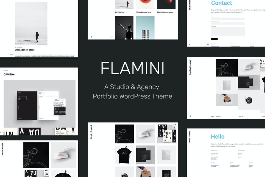 912891947-1.jpg Flamini - Studio/Agency Portfolio WordPress Theme - Görsel 1